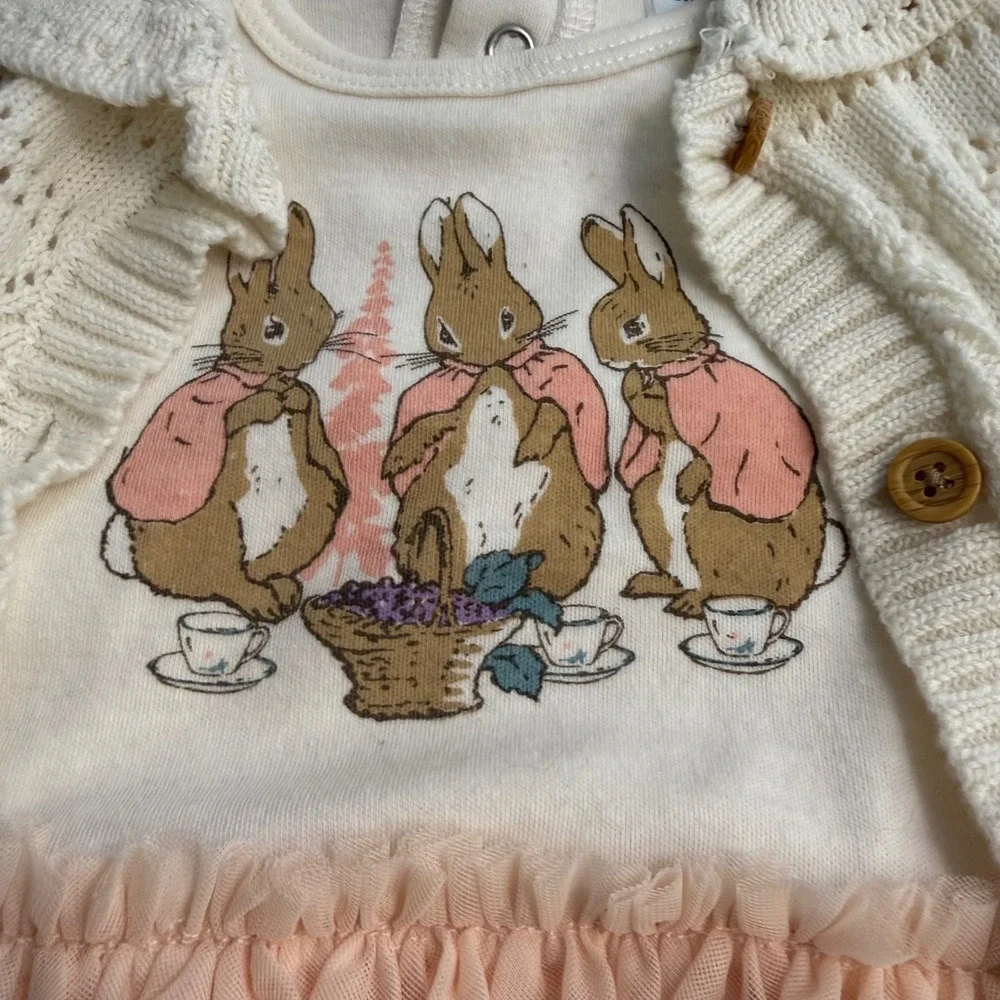 Peter Rabbit Girls 2 Piece Dress Knit Cardigan Bunny Set Pink Tulle 18 months